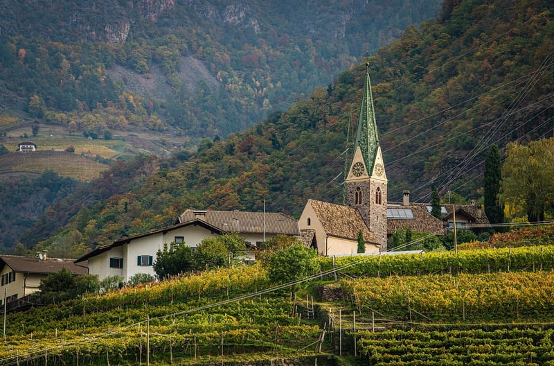 Charming Vineyards